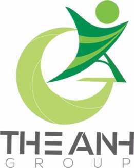 logo theanhgroupdotnet